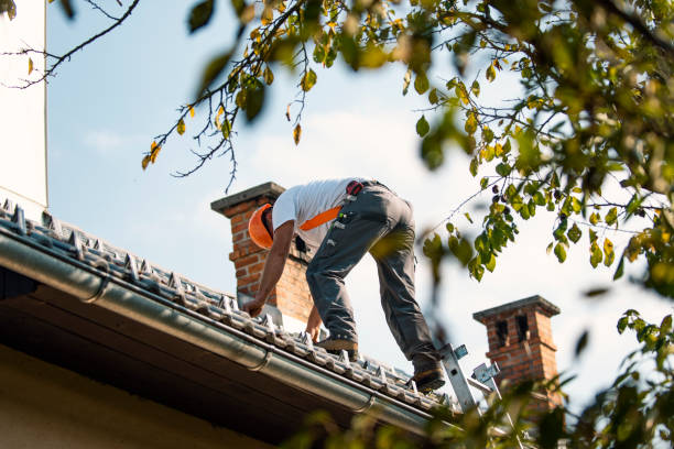 Best Affordable Roofing Company  in Everett, WA